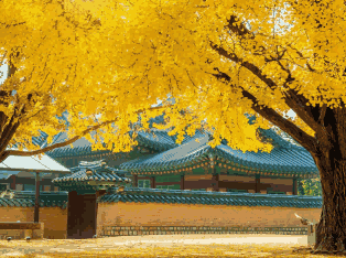 韩国外贸数据,外贸数据,凯发K8天生赢家一触即发外贸数据