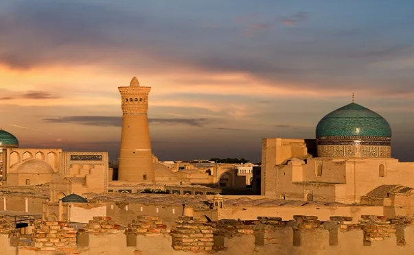 乌兹别克斯坦海关数据查询平台（附免费试用查询名额)